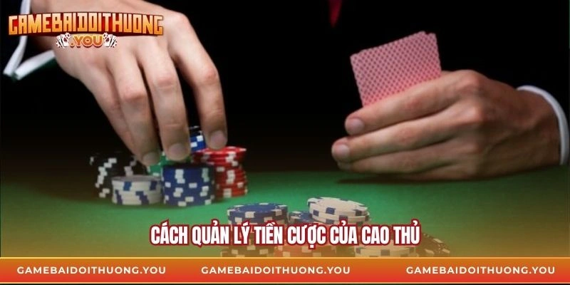 Cách quản lý tiền cược của cao thủ